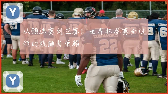 从预选赛到正赛：世界杯参赛全过程的残酷与荣耀