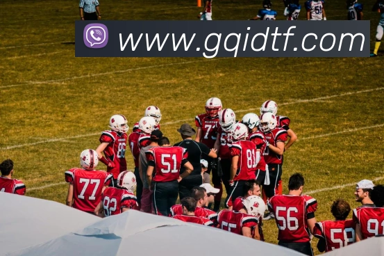 平台使命图